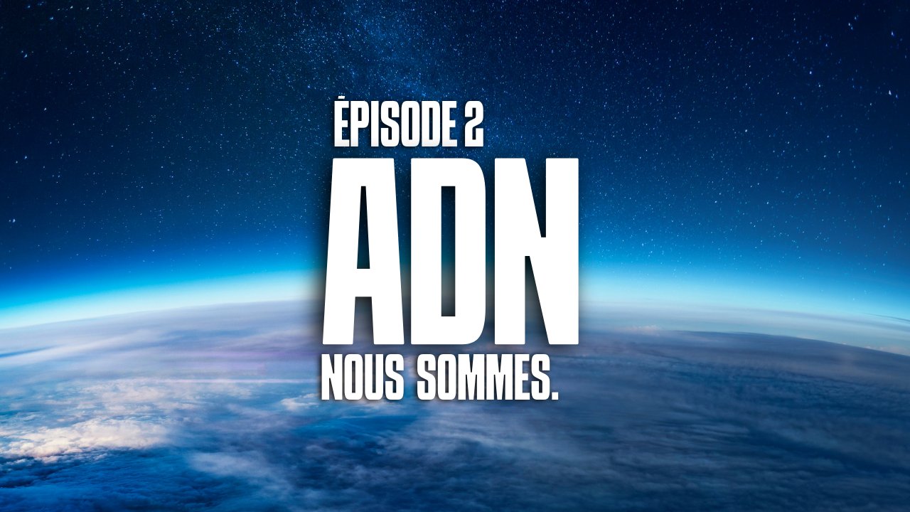 Vidéo NOUS SOMMES ÉPI. 2 : ADN