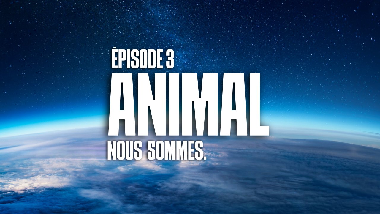 Vidéo YouTube NOUS SOMMES ÉPI. 3 : ANIMAL (partie 1)