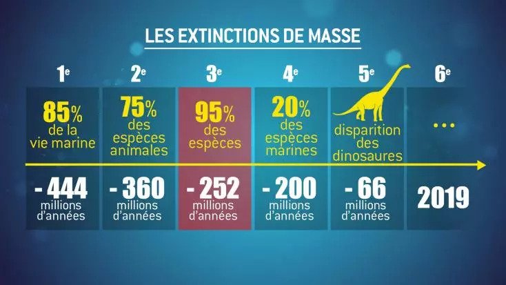 extinctions de masse - Grégoire Métais interview Les extinctions de masse. La vie sur Terre aurait déjà connu cinq grandes extinctions massives.