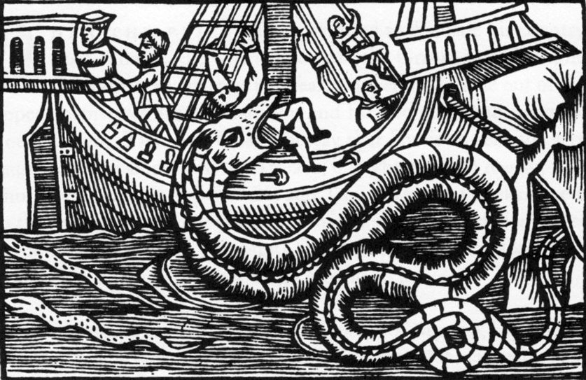 Serpent mer Gentibus Septentrionalibus-classification Un serpent de mer, considérer longtemps comme réel, tiré du livre d’ Olaus Magnus Historia de Gentibus Septentrionalibus