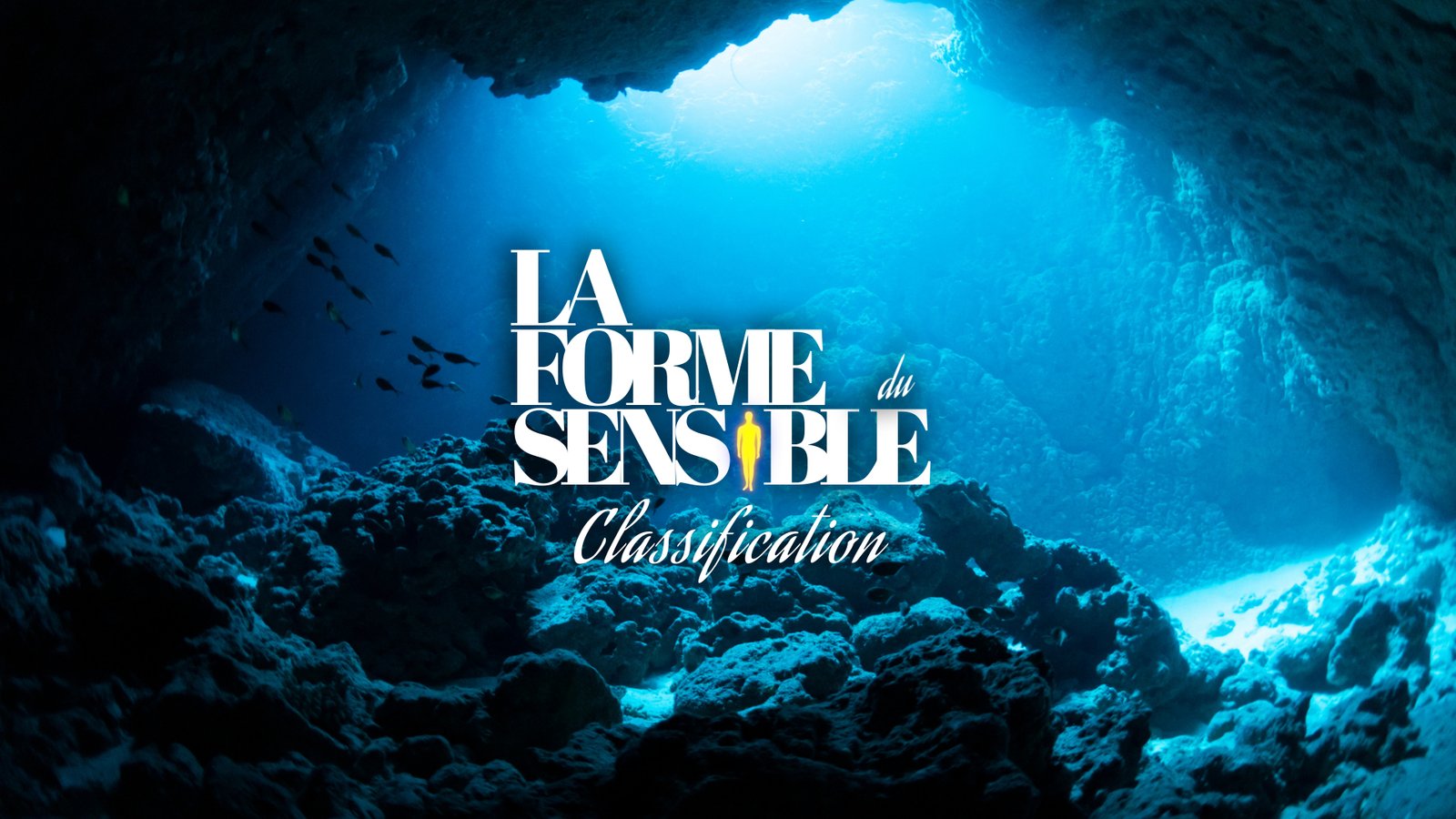 la forme du sensible classification animale