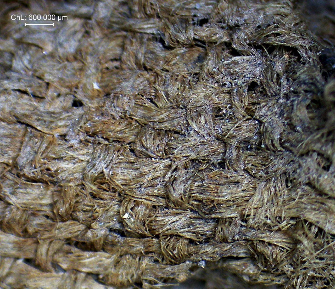 textile médiéval - Frédérique Lachaud, au fil de l’Angleterre médiévale Vue en très gros plan d’un exemple de fragment textile médiéval qui témoigne d’un tissage serré et artisanal remarquablement conservé