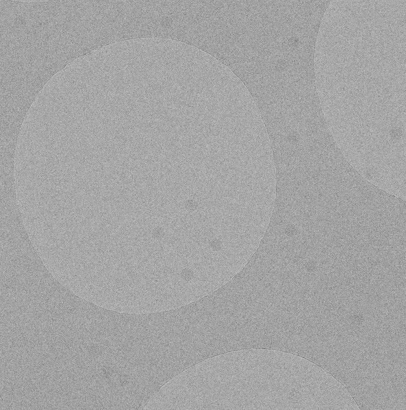 Virus suspension trou sein couche glace amorphe Virus en suspension dans un trou au sein d'une couche de glace amorphe