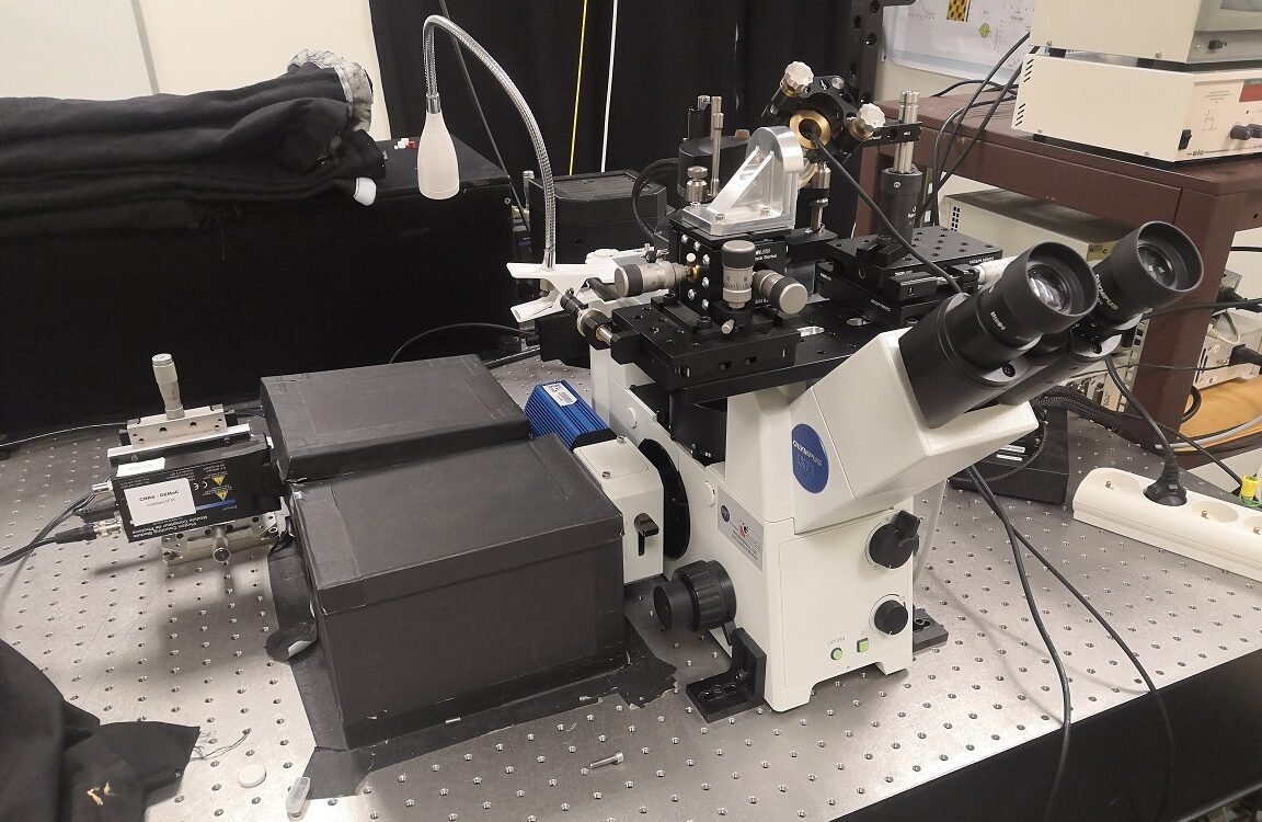 Microscope sonde optique champ proche SNOM NSOM Microscope à sonde optique en champ proche SNOM NSOM